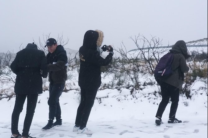 Private Serra da Estrela Gastronomy & Snow Tour from Porto - Sabugueiro, Portugal’s highest village