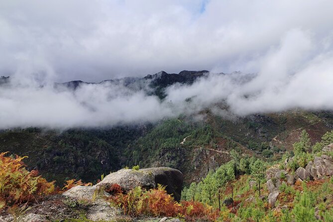 Private / tailor made experience in Gerês National Park - How much value do you get for $285.94?