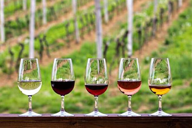 Private Taxi Tour in the Douro with a Visit to 2 Family Vineyards - Key points to know before booking