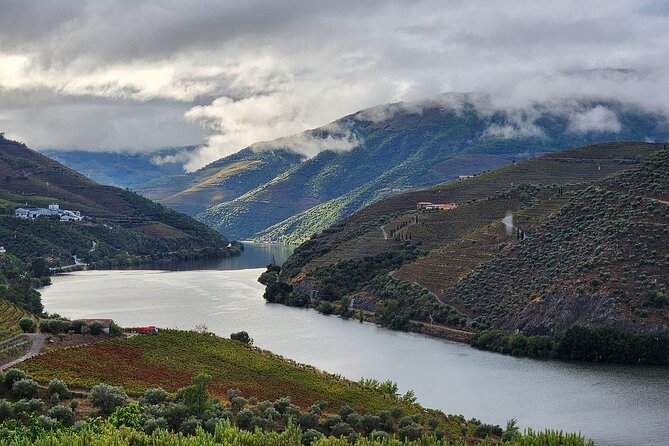 Private Taxi Tour in the Douro with a Visit to 2 Family Vineyards - A private start in Peso da Régua at 10:15