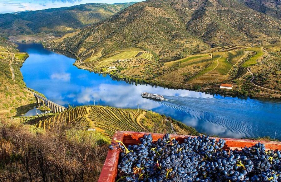 Private Tour: Douro Valley Wine and Food From Porto - Key points to know