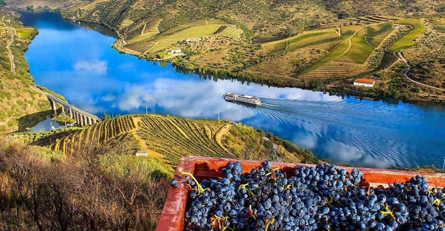 Private Tour: Douro Valley Wine and Food From Porto - Who should book this Douro Valley day