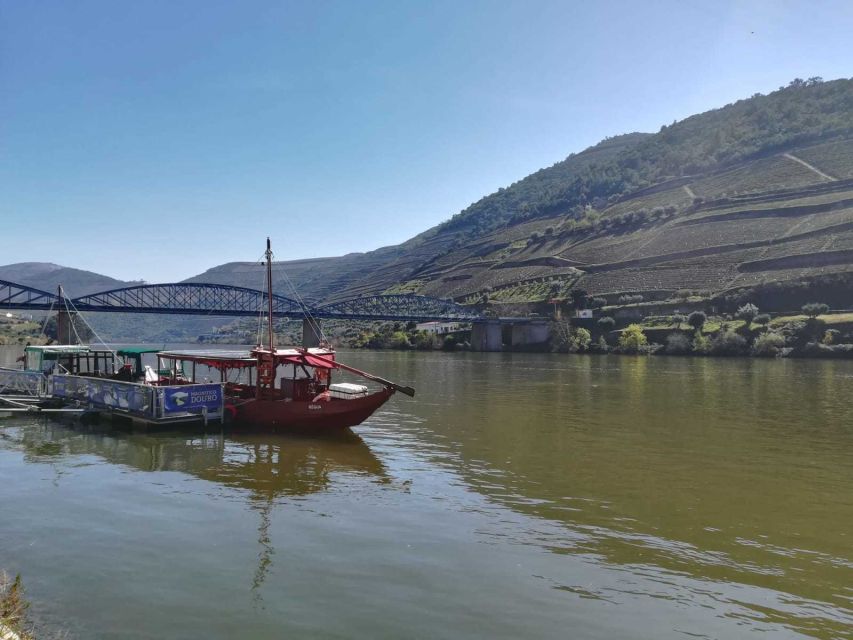 Private Tour: Douro Valley Wine and Food From Porto - What the guide adds to the day