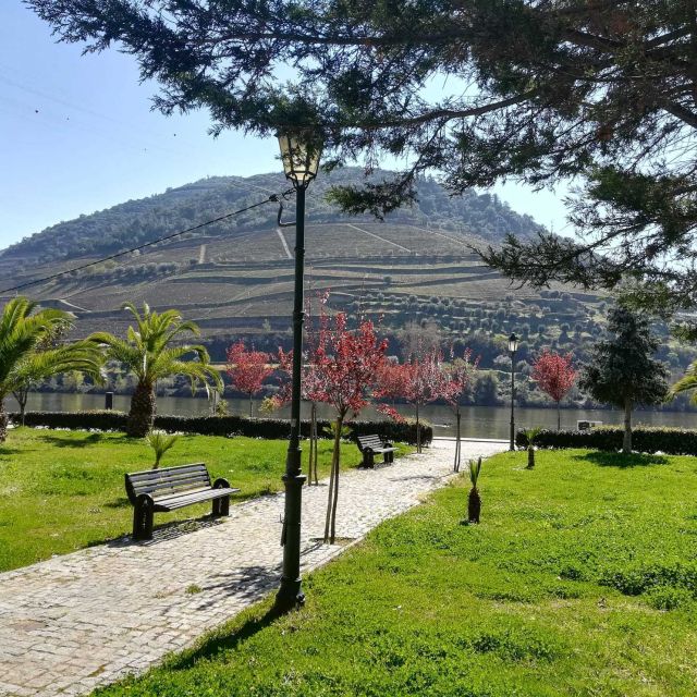 Private Tour: Douro Valley Wine and Food From Porto - Is $212 per person good value?