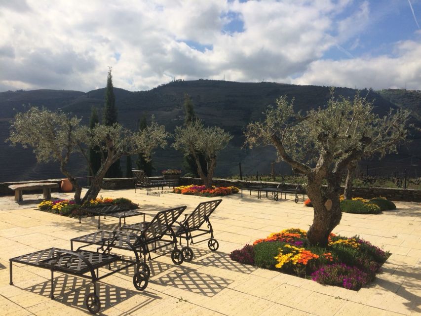 Private Tour: Douro Valley Wine and Food From Porto - The long road from Porto to Régua