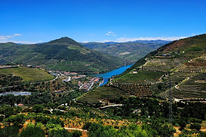 Private Tour from Porto : Douro Valley and Green Wines - What the Private Vehicle Changes