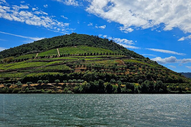 Private Tour from Porto : Douro Valley and Green Wines - Should You Book the Douro and Green Wines Tour?