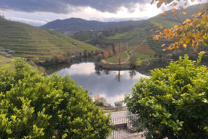 Private Tour From Porto To Douro Valley With River Boat Ride - National Road 222 beside the Douro