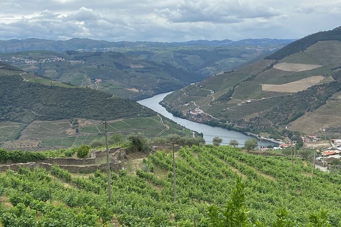 Private Tour From Porto To Douro Valley With River Boat Ride - Quinta do Tedo and the path from grape to bottle