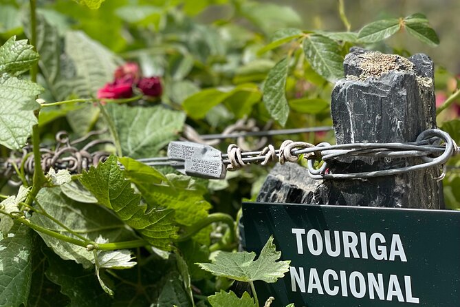 Private Tour From Porto To Douro Valley With River Boat Ride - Pinhão lunch and Douro DOC wine