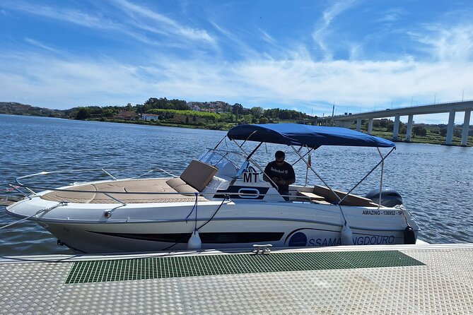 Private Tour of the 6 Bridges with Port Wine - Why a private Douro cruise works so well