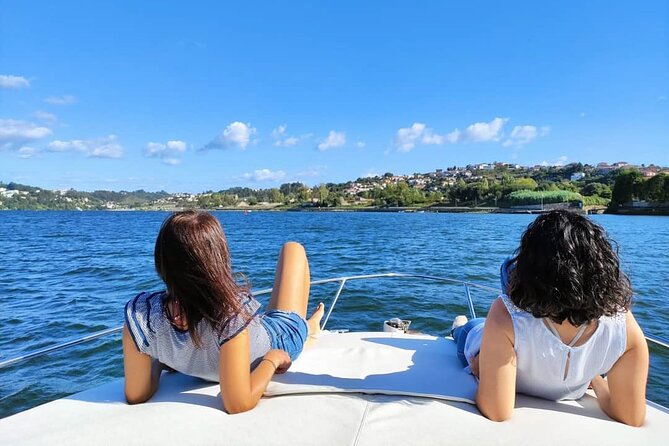 Private Tour of the Bridges and Douro River 2h, group price up to 6px - From the river mouth to Ponte da Arrábida