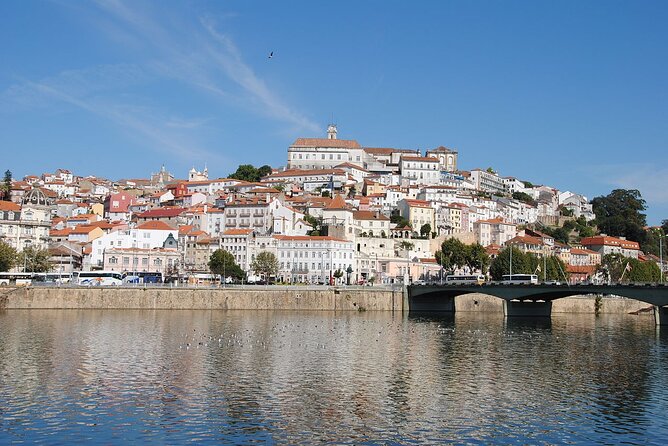 Private Tour: Porto to Lisbon: visit Aveiro,Coimbra,Fatima,Obidos - The cost, the pace, and the real value
