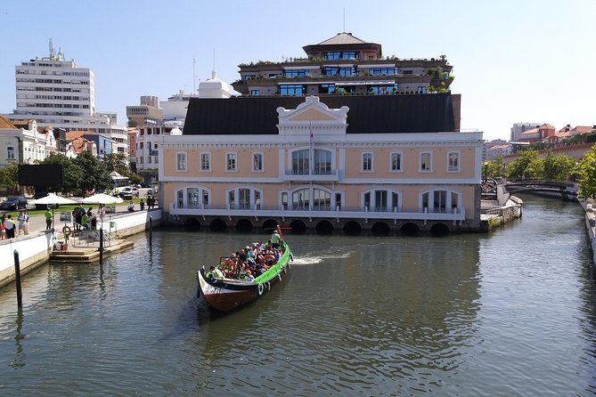 Private Tour to Aveiro, to the Sparkling Wine Cellars and Piglet Tasting - A 45-minute boat ride through the Ria de Aveiro