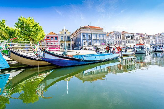 Private Tour to Coimbra, Aveiro and Costa Nova - What the private vehicle changes