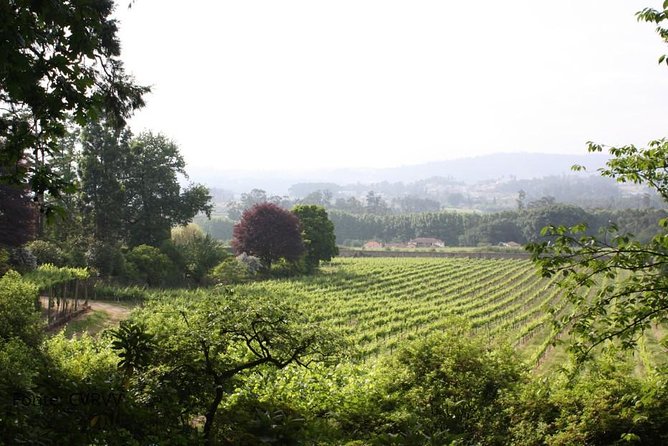 Private tour to Ponte de Lima, Vinho Verde region - Crossing Ponte Romana e Medieval