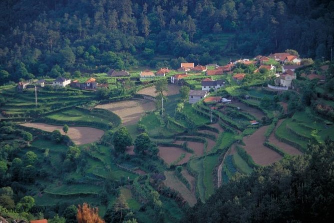Private tour to Ponte de Lima, Vinho Verde region - Optional manor houses and Refoios monuments