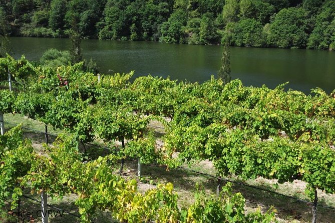 Private tour to Ponte de Lima, Vinho Verde region - What the price includes, and what it does not