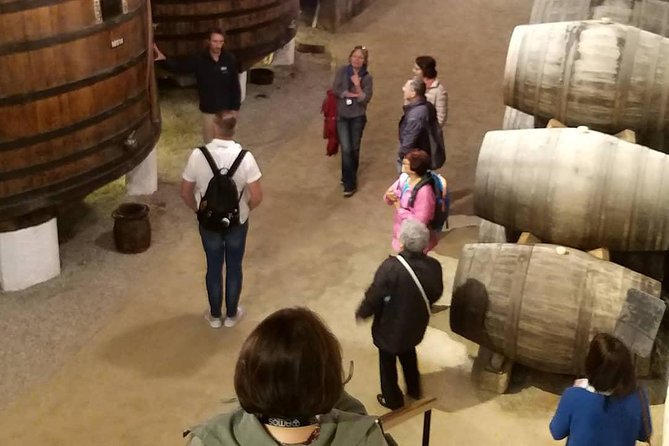 Private Tour to stunning Douro Valley and most renowned wineries - Why a private Douro Valley day makes sense