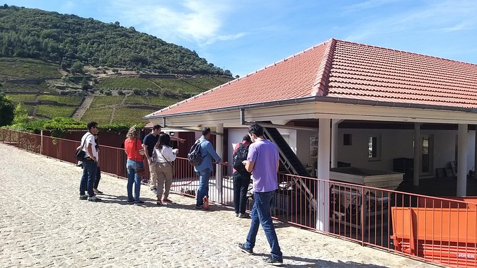 Private Tour to the rock art of Côa Park, Pinhão and Winery - Why Côa Park makes this more than a wine day