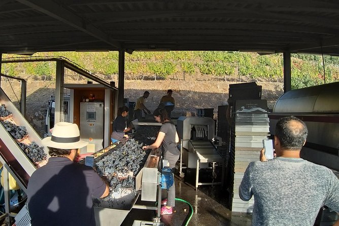 Private Tour to the rock art of Côa Park, Pinhão and Winery - Pinhão Railway Station and the Douro wine country