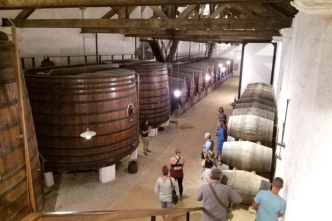 Private Tour to the rock art of Côa Park, Pinhão and Winery - Choosing between Quinta do Seixo and Quinta do Bomfim