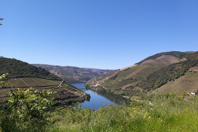 Private Tour to the rock art of Côa Park, Pinhão and Winery - The long ride from Porto in a private vehicle