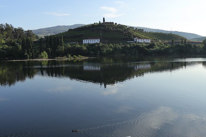 Private tour with 2 wineries and typical harmonized lunch - A regional winery lunch in Lamego