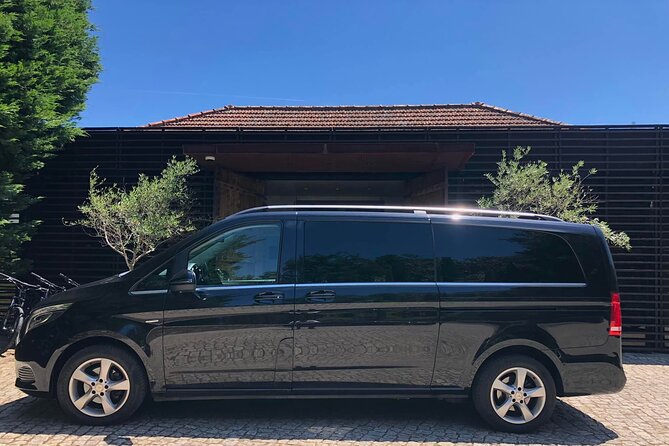 Private transfer from Porto to Lisbon with two Sightseeing stops - Aveiro: canals and moliceiro boats