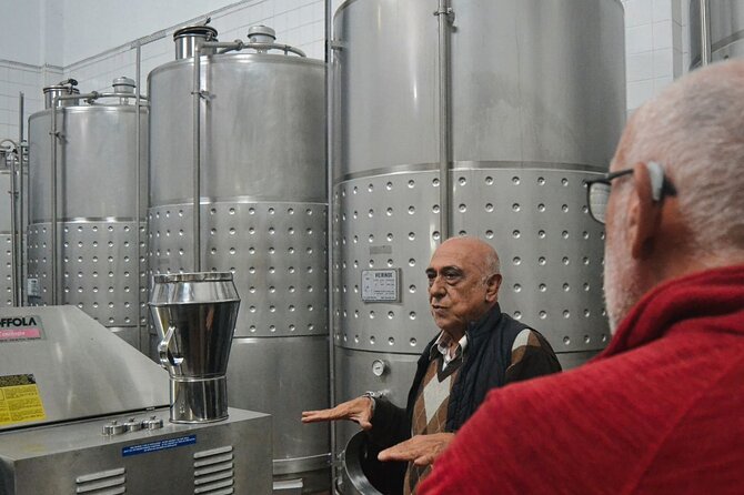 Private Vinho Verde Region Wine Tour from Porto Including Lunch - The second winery in the Vale de Sousa