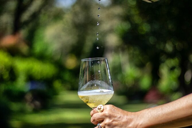 Private Vinho Verde Wine Tour from Porto with Lunch & Tastings - Leaving Porto at 8:15 a.m.