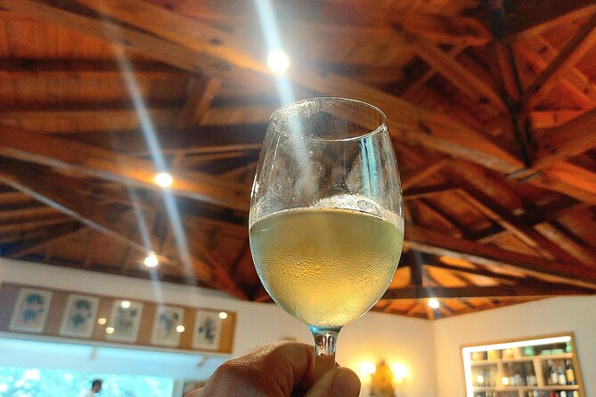 Private Vinho Verde Wine Tour from Porto with Lunch & Tastings - The first farm visit and Vinho Verde in context