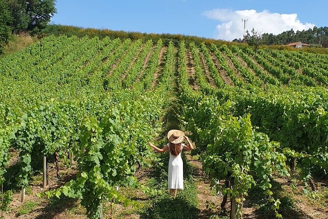 Private Vinho Verde Wine Tour from Porto with Lunch & Tastings - A traditional lunch away from the usual route