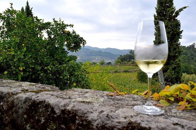 Private Vinho Verde Wine Tour from Porto with Lunch & Tastings - What $288.38 per person really buys