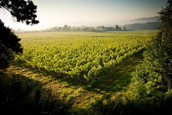 Private Vinho Verde Wine Tour from Porto with Lunch & Tastings - Amarante, coffee, pastries, and a historic village