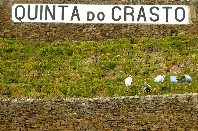 Private Wine & Food Tour in Douro - What the $776.75 price really covers
