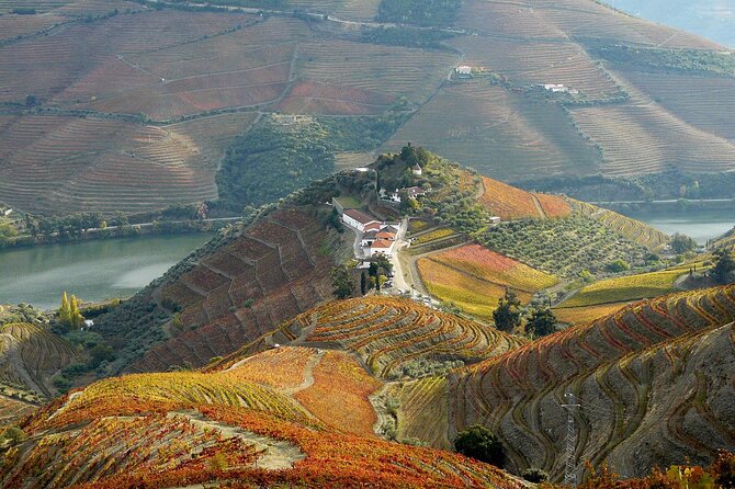 Private Wine & Food Tour in Douro - The private format and the pace