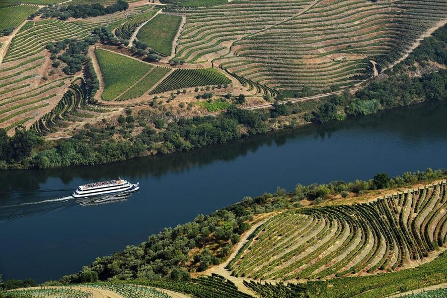 Régua: Wine Tasting at a Farm, Traditional Lunch, Cruise and Train - São Leonardo de Galafura and the Douro below