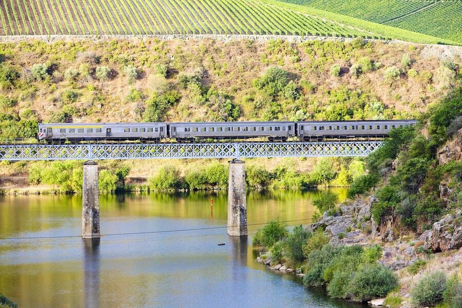 Régua: Wine Tasting at a Farm, Traditional Lunch, Cruise and Train - Cruising from Régua to Pinhão
