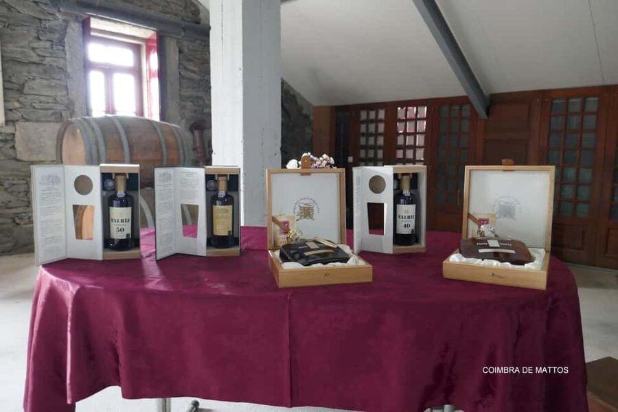 Régua: Wine Tasting at a Farm, Traditional Lunch, Cruise and Train - Free time and the train back to Régua