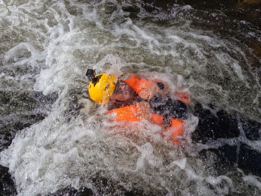 River Trekking in Arouca Geopark - What the nature interpretation adds
