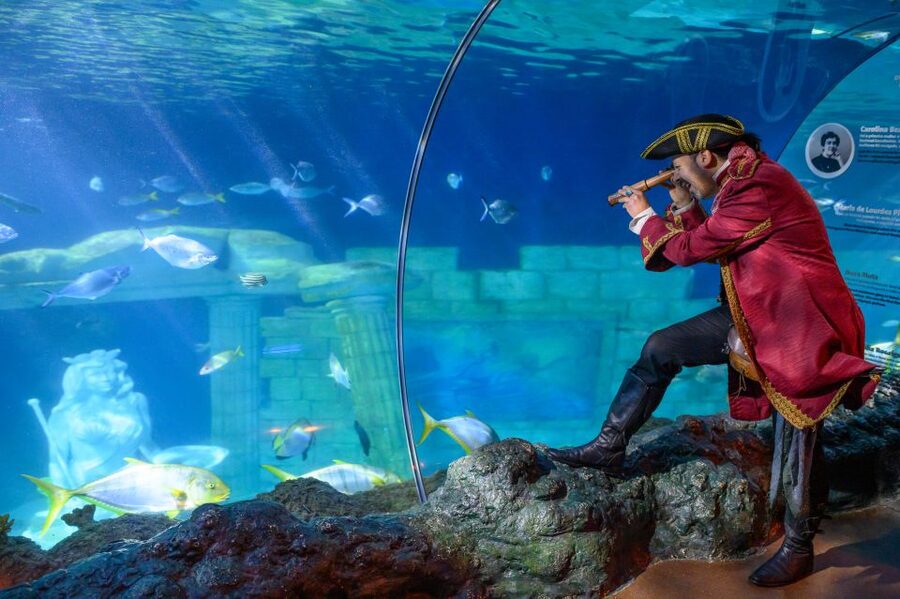 SEA LIFE Porto Full-Day Entrance Ticket - Key points to know before you go