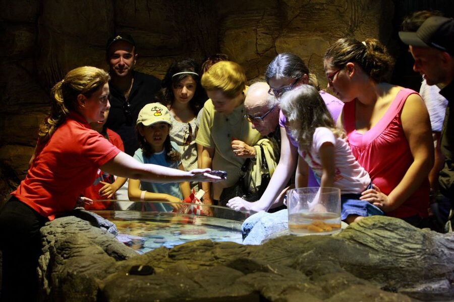 SEA LIFE Porto Full-Day Entrance Ticket - Who will enjoy SEA LIFE Porto most?
