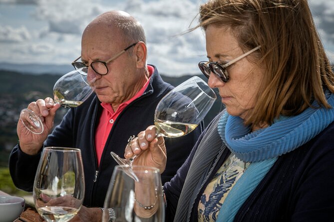 Selection Tasting | Quinta de Santa Cristina Vinho Verde - Key points at a glance