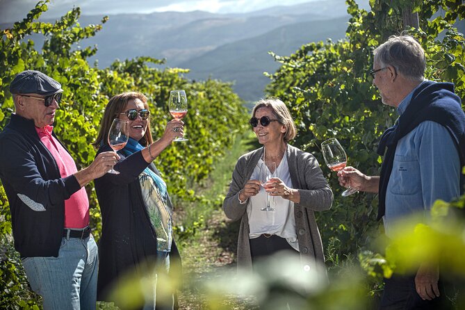 Selection Tasting | Quinta de Santa Cristina Vinho Verde - A vineyard visit in Veade, near Braga