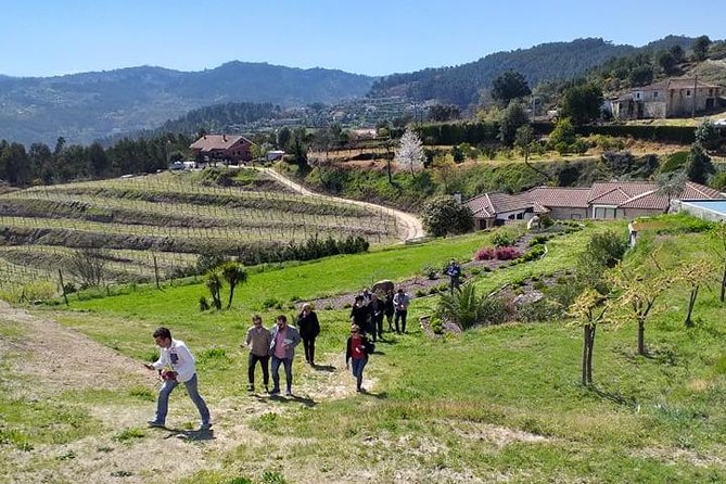 Selection Tasting | Quinta de Santa Cristina Vinho Verde - Why the rooftop view matters