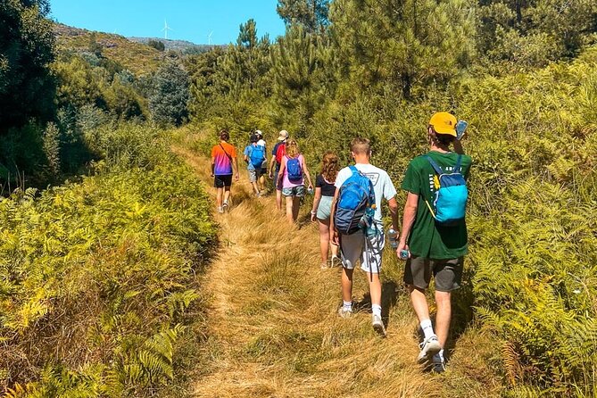 Serra D’Arga Hike, Dive & Dine Like A Local in a Secret Spot - Key points at a glance