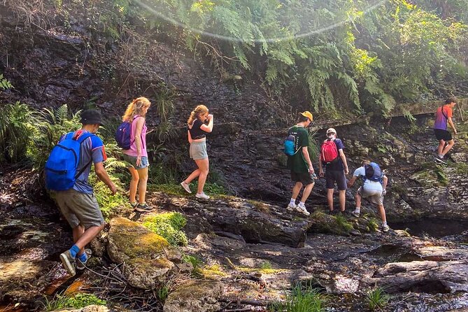 Serra D’Arga Hike, Dive & Dine Like A Local in a Secret Spot - A Minho meal after the trail