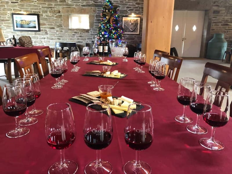 Small Group: Douro Valley Wine Tasting from Porto - Who should book this Douro experience?