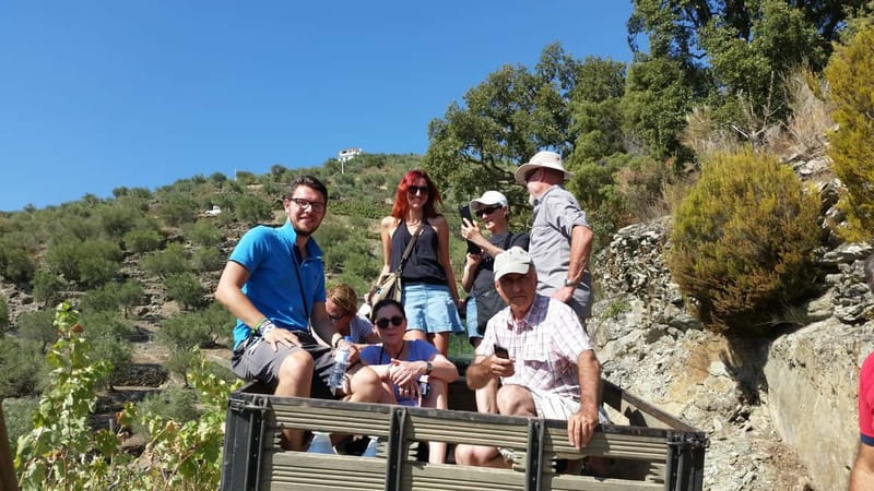 Small Group: Douro Valley Wine Tasting from Porto - Pinhão, Port wine, and the first tasting